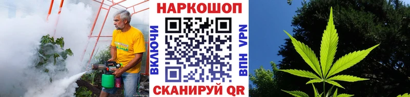Все наркотики Электрогорск Гашиш  Кокаин  МЕФ 