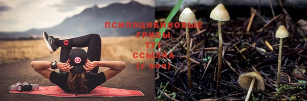 гашишное масло Белокуриха