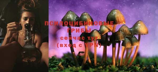 гашишное масло Белокуриха